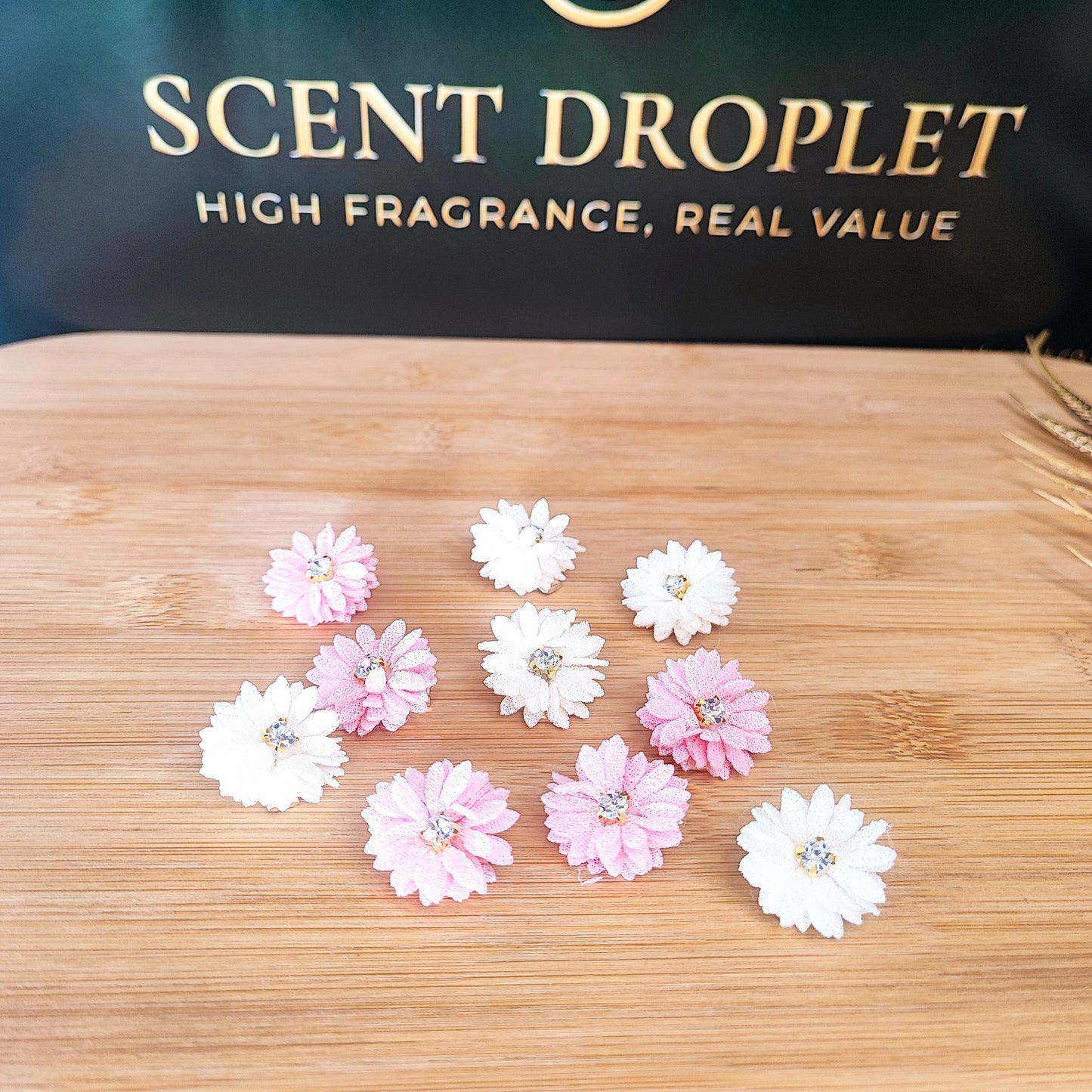10 Pieces Mini Hair Clip