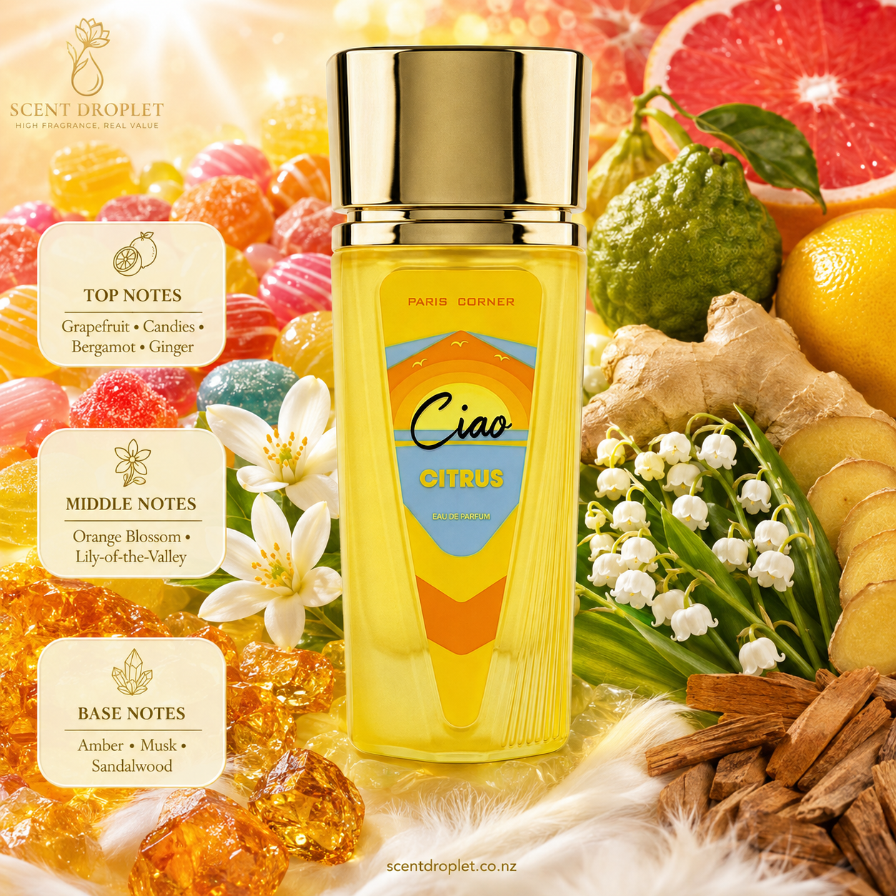 Ciao Citrus by Paris Corner EDP decant - notes infographic