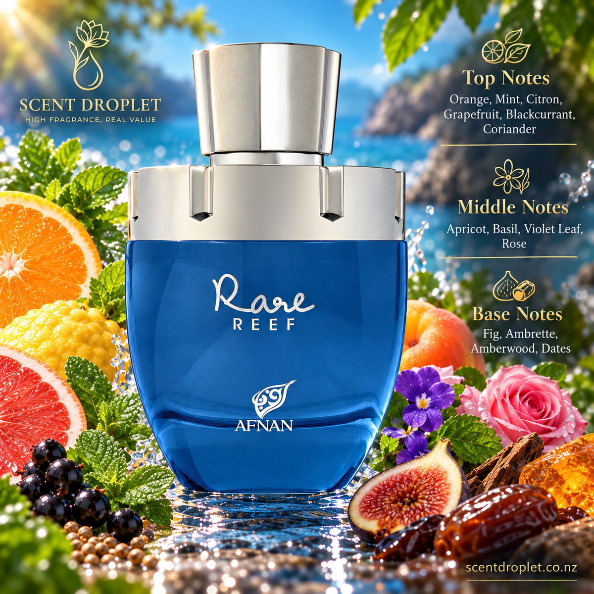Rare Reef by Afnan Extrait bottle with top, middle and base fragrance notes